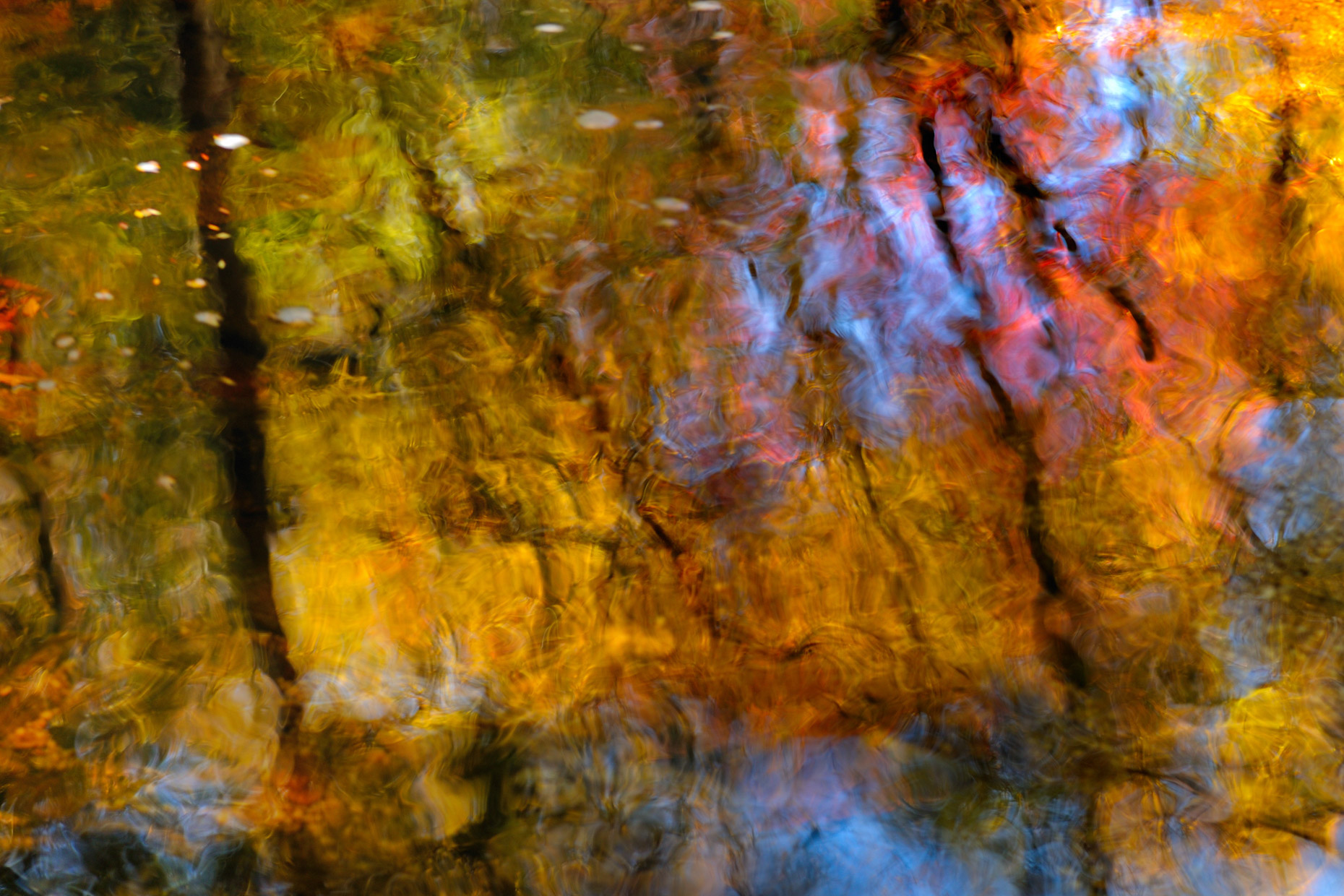 Autumn Glass (Lindy Run - Davis, West Virginia)